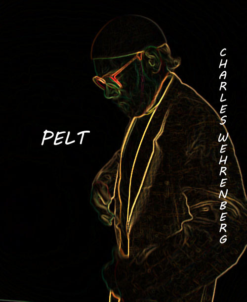SZP book cover