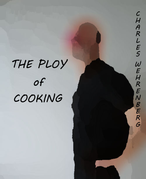 SZP book cover