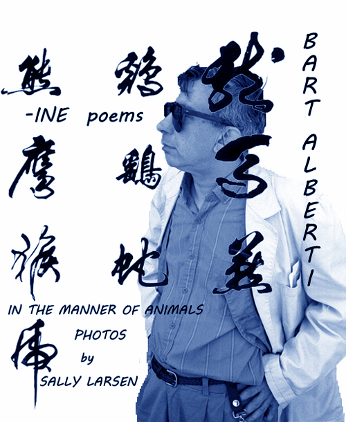 SZP book cover