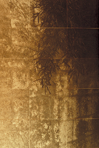 bamboo