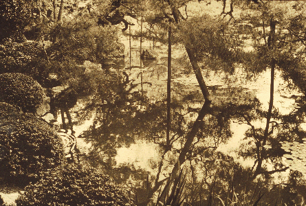 Kyoto pond
