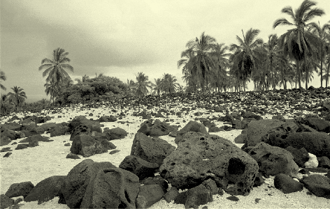 Hawaii refuge