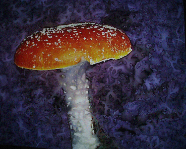 SC_05