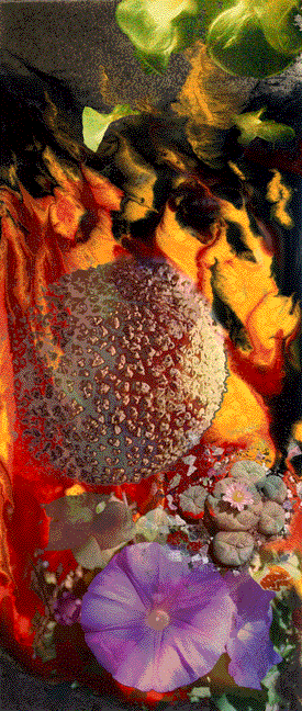 [Entheogens;48 in x 22in]